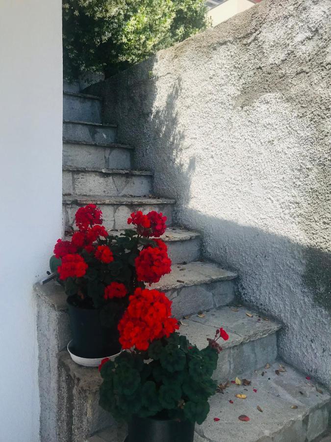Villa Teresa Casarza Ligure Extérieur photo