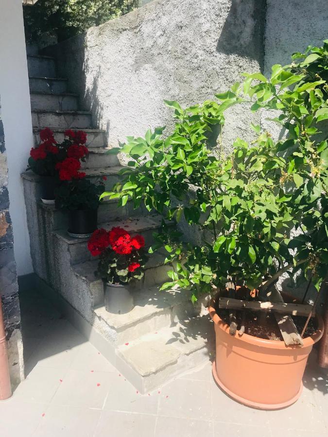 Villa Teresa Casarza Ligure Extérieur photo